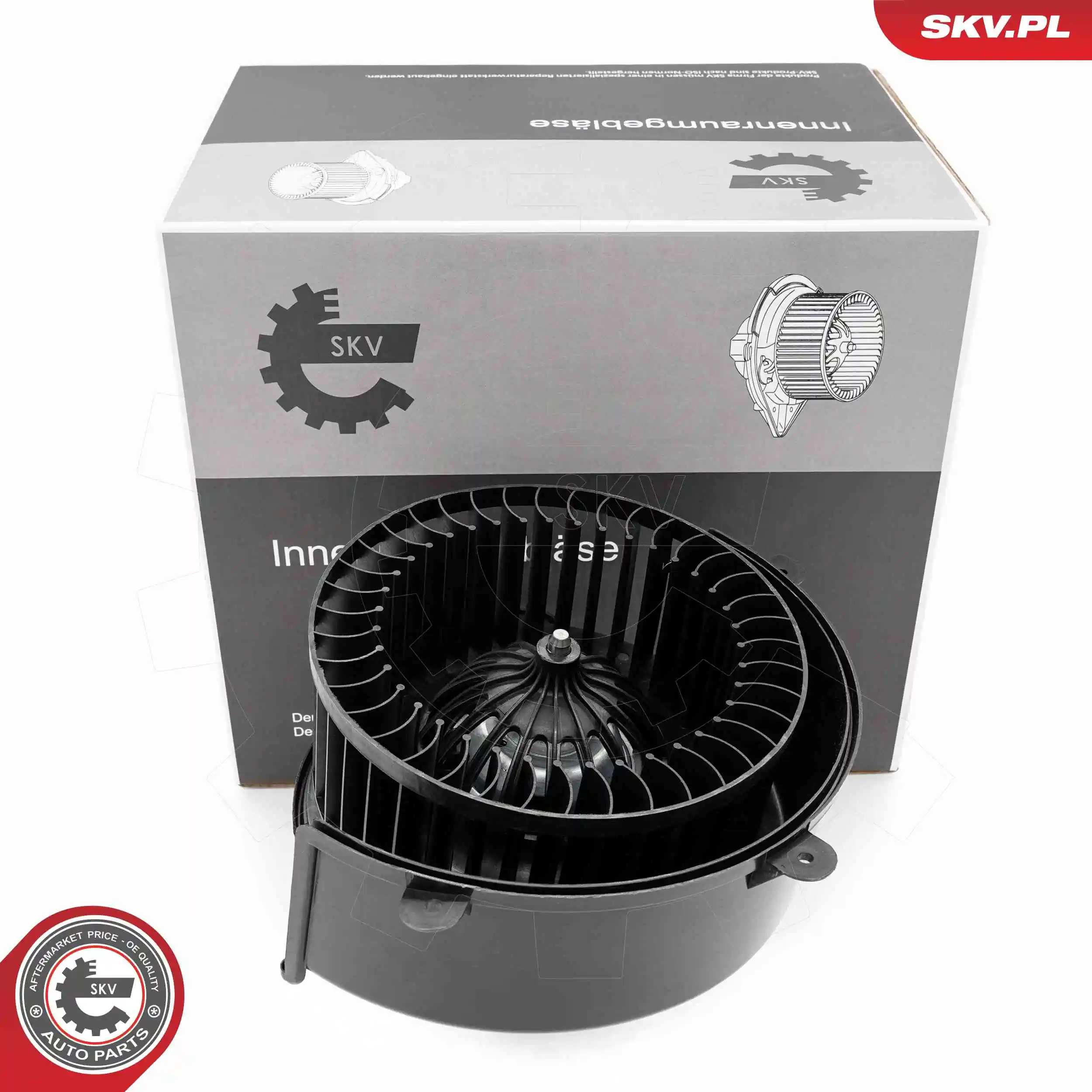 Interior Blower